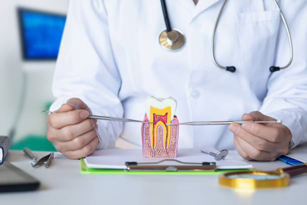 Best Broken Tooth Emergency  in Vinita Park, MO